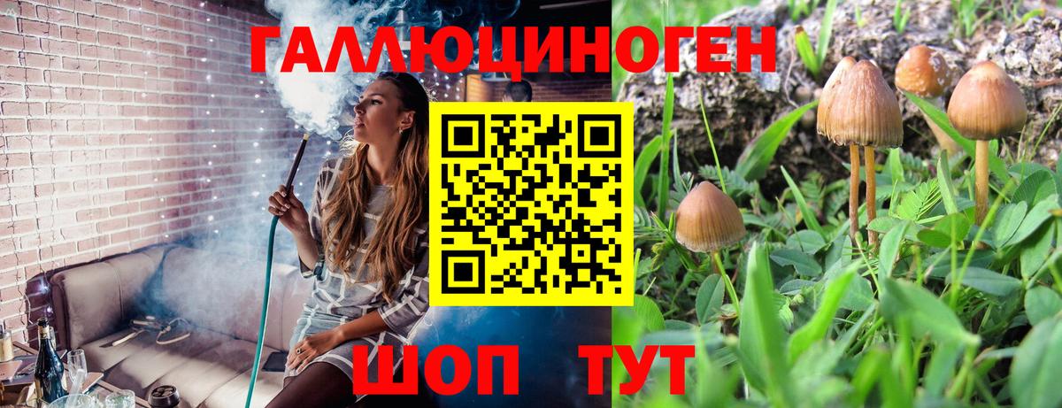 Галлюциногенные грибы ЛСД  Галлюциногенные грибы GOLDEN TEACHER  Вход с VPN  Сальск 